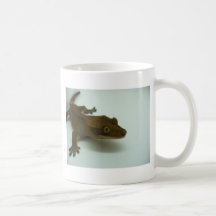 Gecko con cresta tazas
