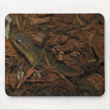Gecko de luto tapete de ratón