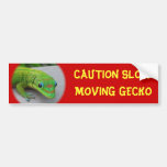 Gecko del día del polvo de oro - haga una prueba y pegatina de parachoque