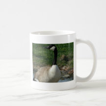geese6 tazas