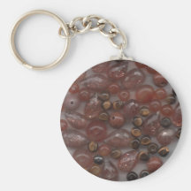 Gemas de Brown Llaveros Personalizados