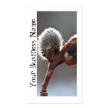 Gemelos del Catkin de CTW Plantillas De Tarjetas De Visita