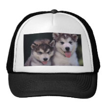 gemelos gorra