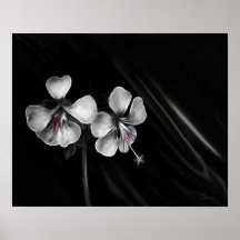 gemelos poster