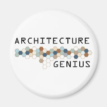 Genio de la arquitectura imanes de nevera