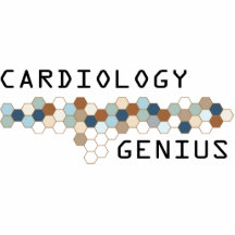 Genio de la cardiología escultura fotográfica