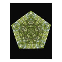 Geometría del verano fotografia