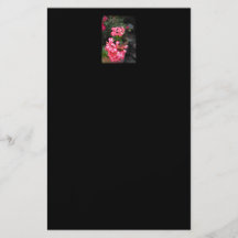 Geranios. Flores del Pelargonium Tarjetas Informativas
