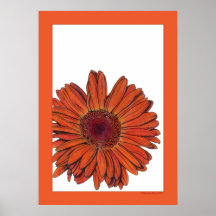 Gerbera Posters