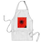 Gerbera rojo delantales