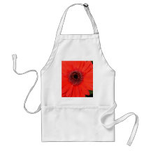 Gerbera rojo delantales