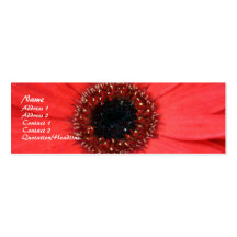 Gerbera rojo, tarjeta de visita
