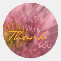 Gerbera rosado • Gracias pegatina