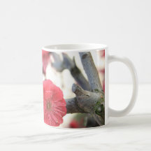 germinación del rosa de la primavera del flor del  tazas de café