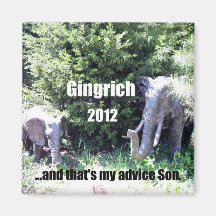 Gingrich 2012 imán