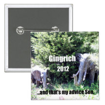 Gingrich 2012 pin