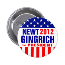 GINGRICH PINS