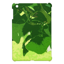 Ginkgo