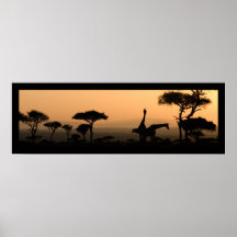 Giraffes at Sunrise Impresiones