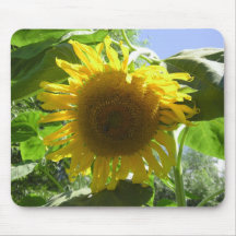 Girasol Alfombrilla De Ratones