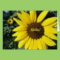 Girasol bonito tarjetas