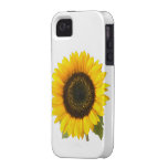 Girasol Case-Mate iPhone 4 Fundas