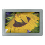 Girasol de Demeure Hebilla De Cinturon