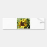 girasol de la abertura etiqueta de parachoque