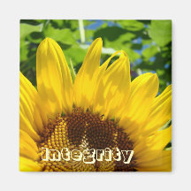 Girasol de la oficina de negocios de los regalos d