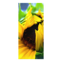 Girasol de New México Lona Publicitaria