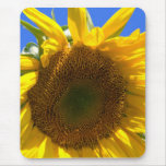 "Girasol del jardín " Alfombrilla De Raton