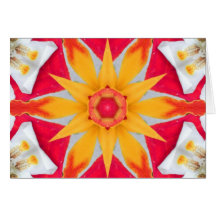 Girasol del tránsito de Venus Tarjeta