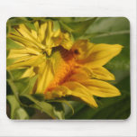 Girasol emergente tapetes de ratón