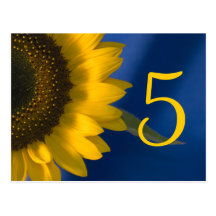 Girasol en número azul de la tabla postales