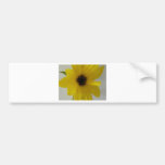 girasol etiqueta de parachoque
