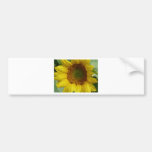 girasol etiqueta de parachoque