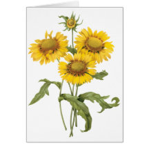 Girasol floral de la flor combinada del vintage po tarjetas