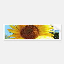 Girasol gigante etiqueta de parachoque