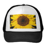 Girasol Gorro De Camionero