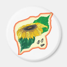 Girasol Imanes De Nevera