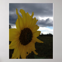 Girasol Impresiones