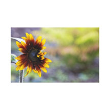 Girasol Impresion De Lienzo