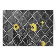 Girasol para aclarar su día tarjeta