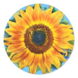 Pegatinas de Flores