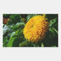 Girasol Pegatinas