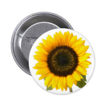 Girasol Pins