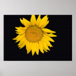 Girasol Impresiones