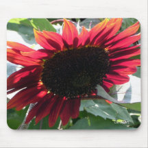 Girasol rojo grande tapetes de ratones