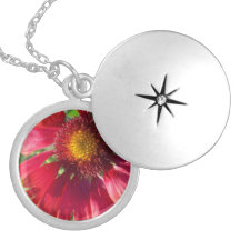 Girasol rojo joyerias