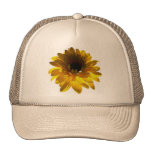 Girasol sereno gorras